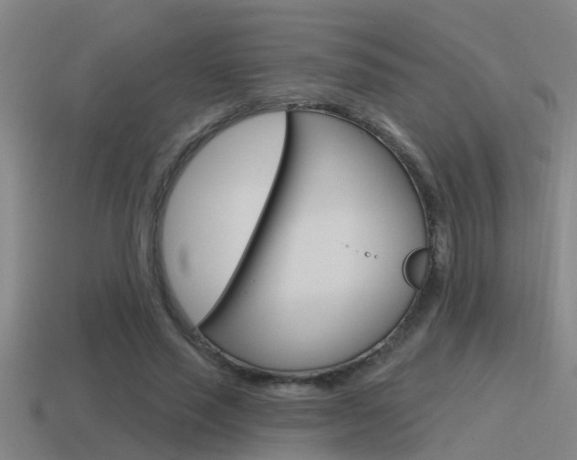 X0000115490637200911061002