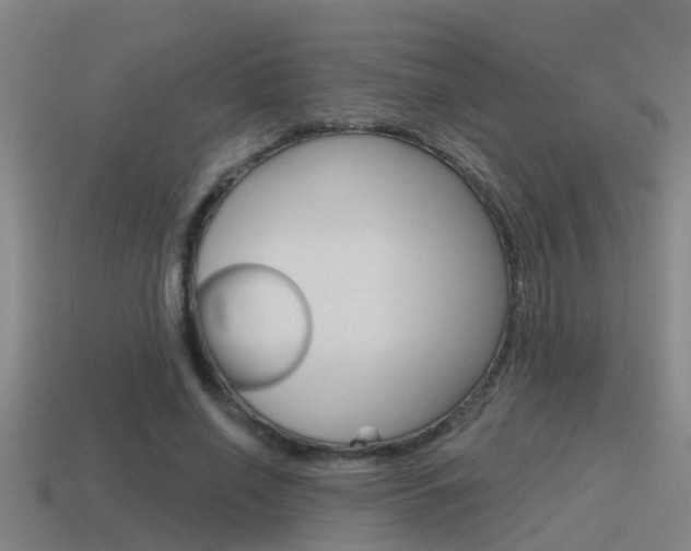 X0000115490638200911061002