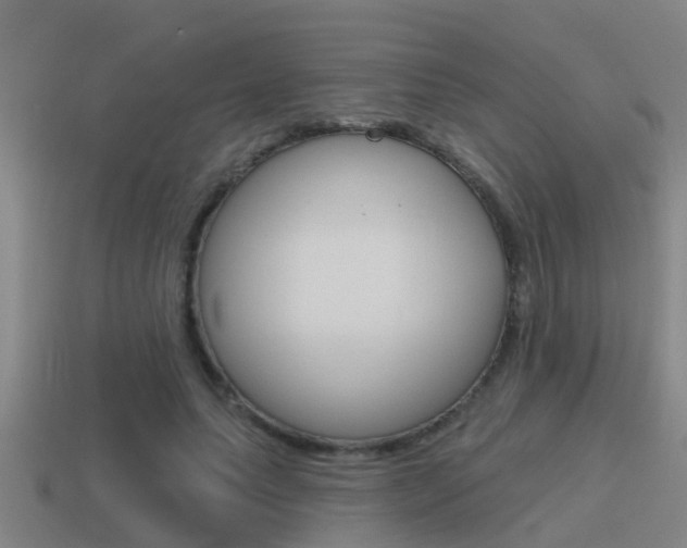 X0000115490639200911061002