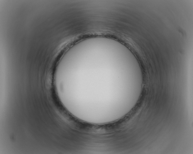 X0000115490640200911061002