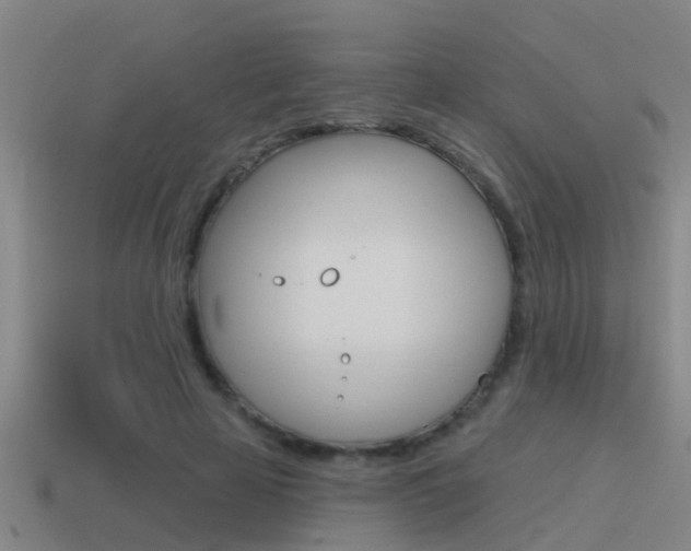 X0000115490641200911061002