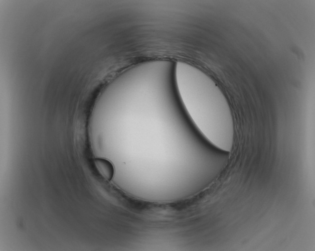 X0000115490642200911061002
