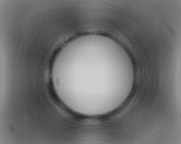 X0000115490644200911061003