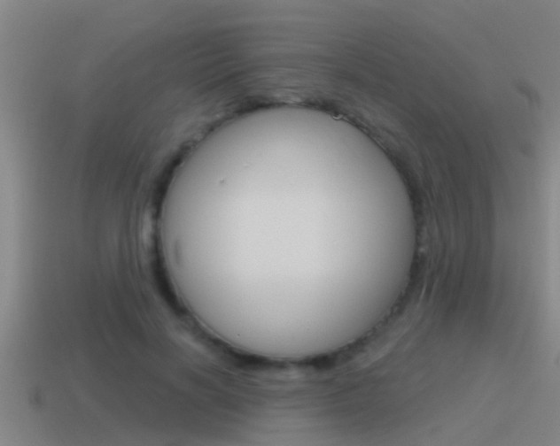 X0000115490646200911061003