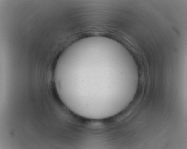 X0000115490651200911061003