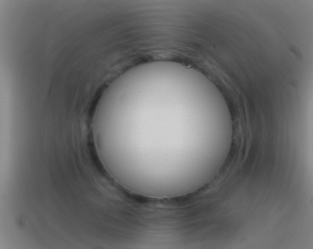 X0000115490655200911061003