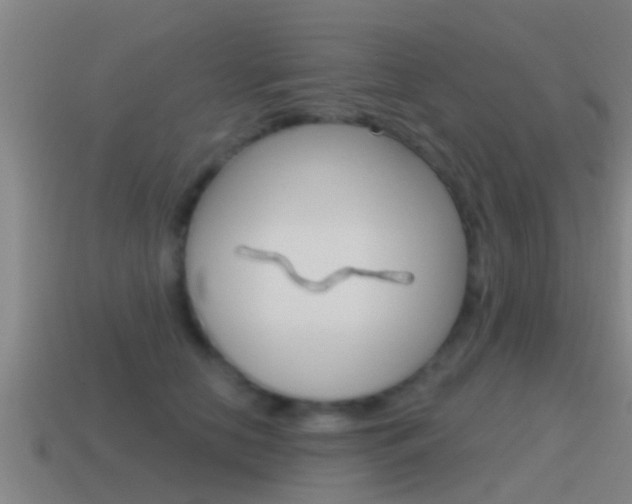 X0000115490658200911061003