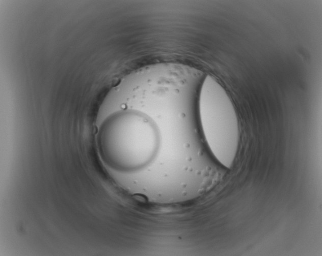 X0000115490662200911061003