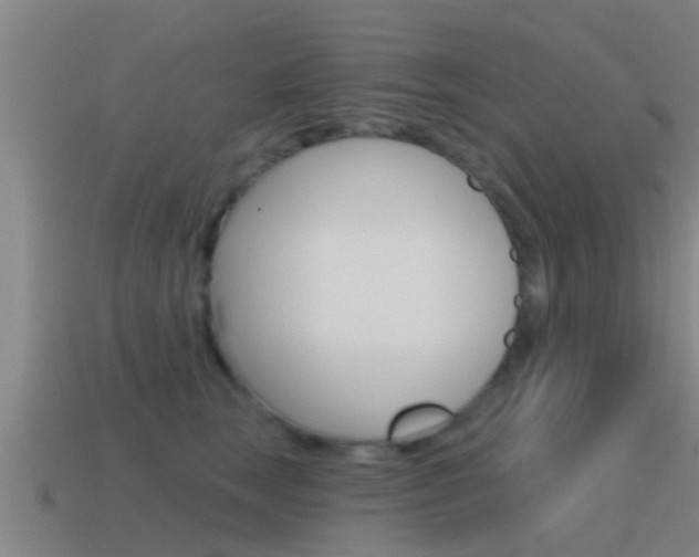 X0000115490663200911061003