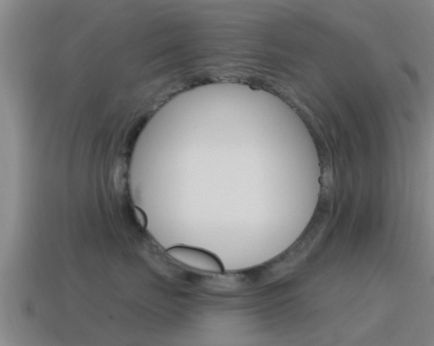 X0000115490671200911061003