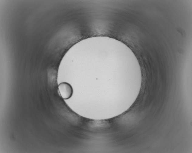 X0000115490672200911061003
