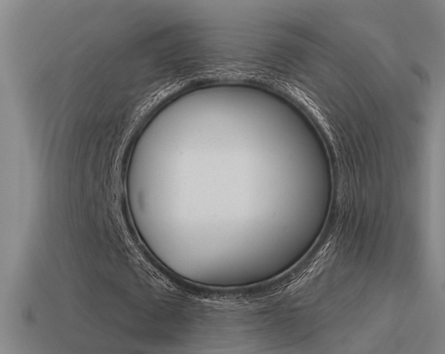 X0000115490673200911061002