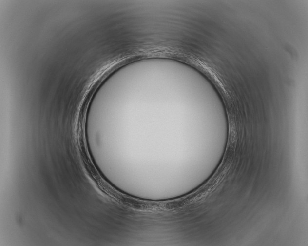 X0000115490674200911061002