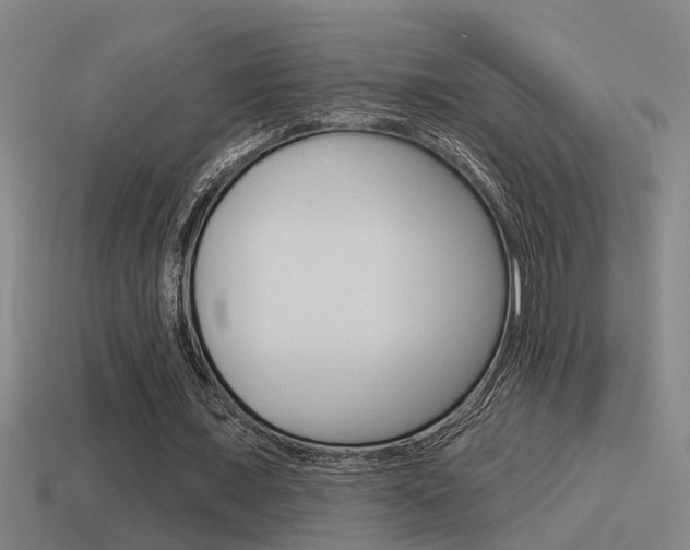 X0000115490675200911061002