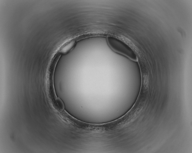 X0000115490676200911061002