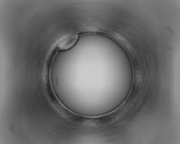 X0000115490680200911061002