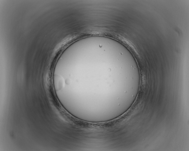 X0000115490682200911061002