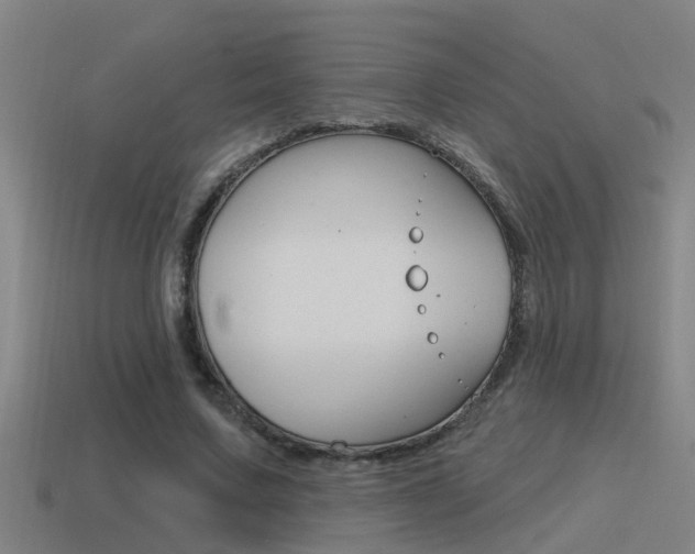 X0000115490683200911061002