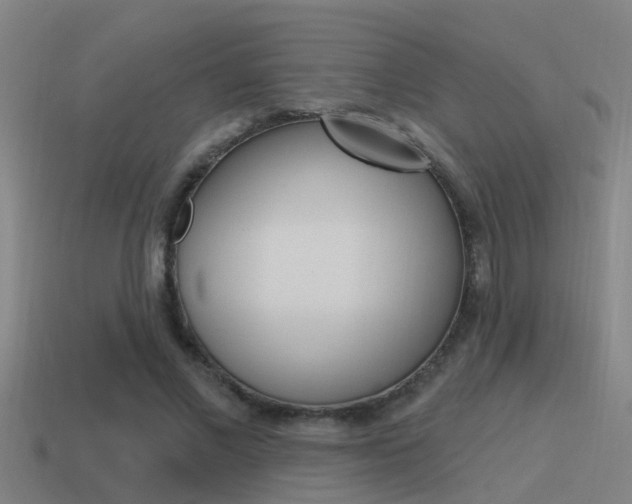 X0000115490685200911061002