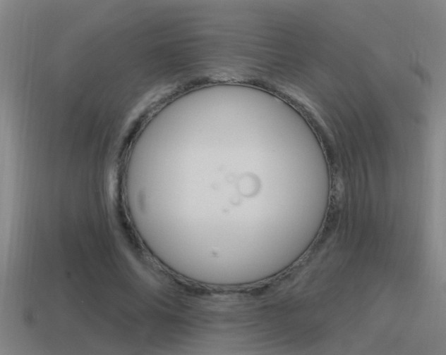 X0000115490686200911061002