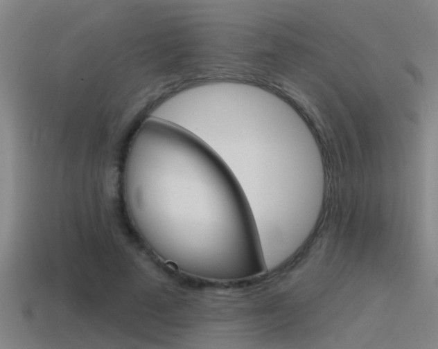 X0000115490689200911061002