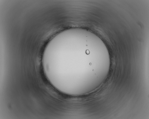X0000115490691200911061002