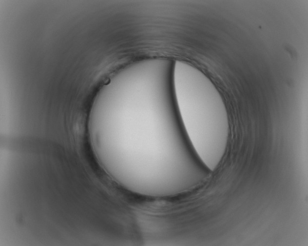 X0000115490695200911061002