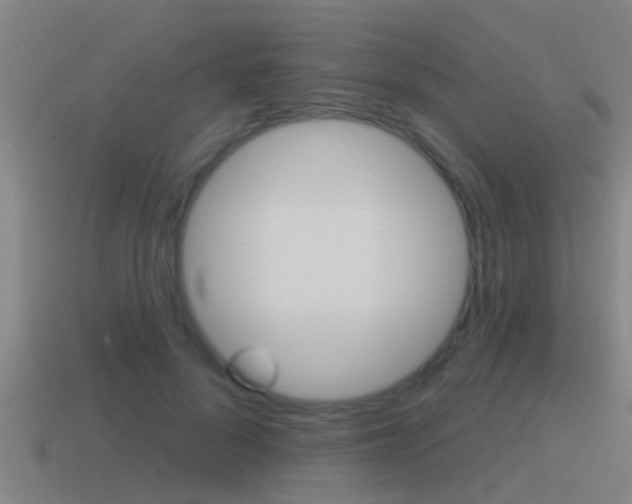 X0000115490696200911061002