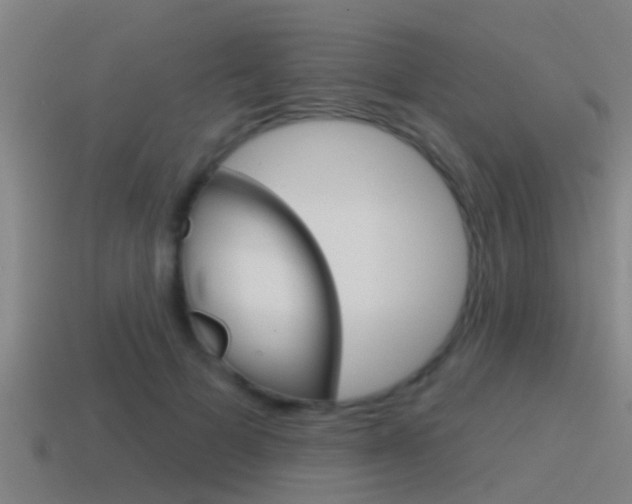 X0000115490697200911061002