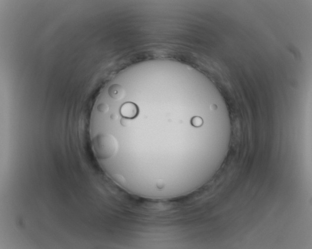 X0000115490698200911061002