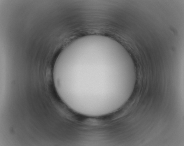 X0000115490699200911061002