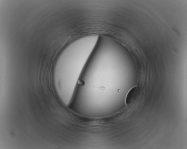 X0000115490700200911061002