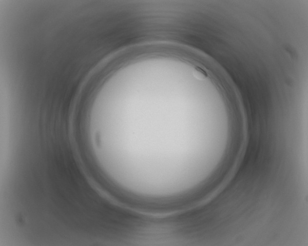 X0000115490701200911061002