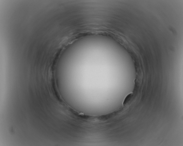 X0000115490704200911061002