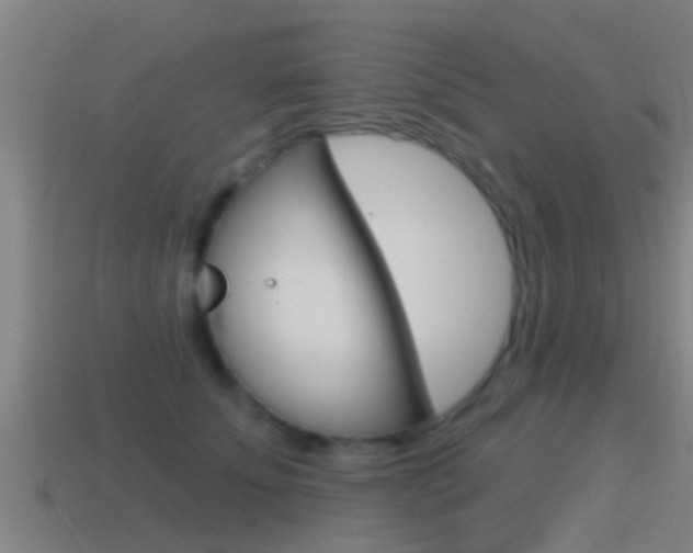 X0000115490707200911061002