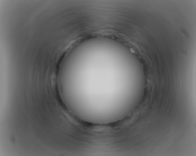 X0000115490708200911061002