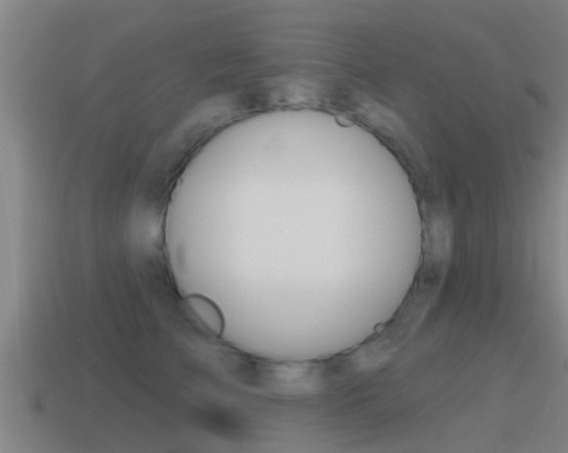 X0000115490709200911061002