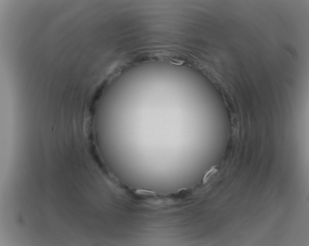 X0000115490712200911061002