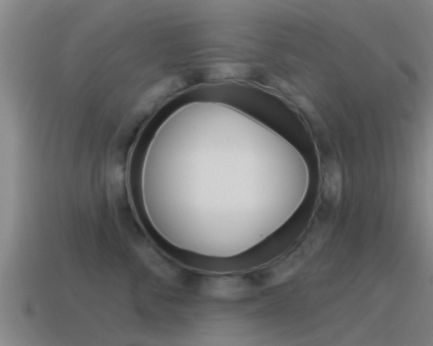 X0000115490716200911061002