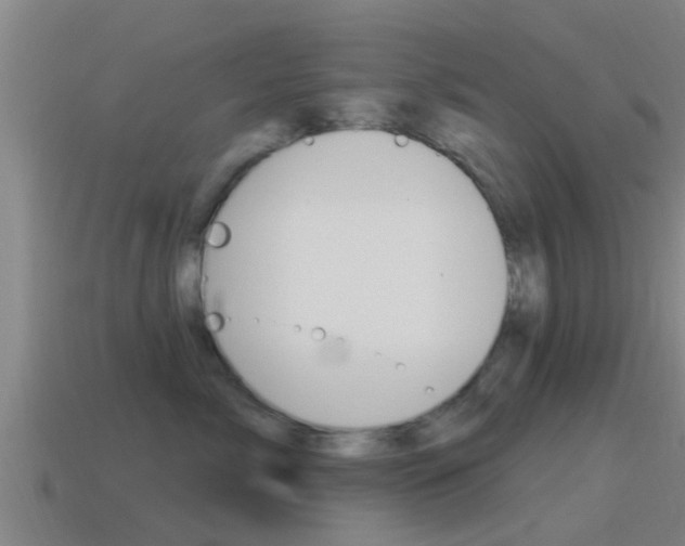 X0000115490717200911061002