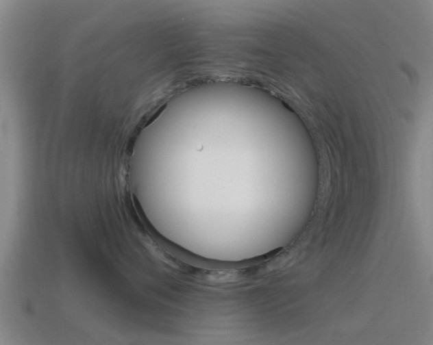 X0000115490720200911061002