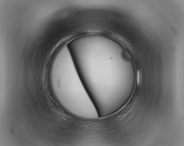 X0000115490723200911061001