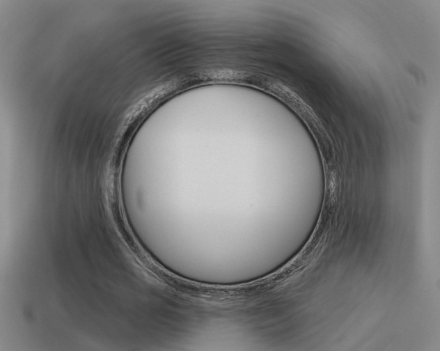 X0000115490725200911061001