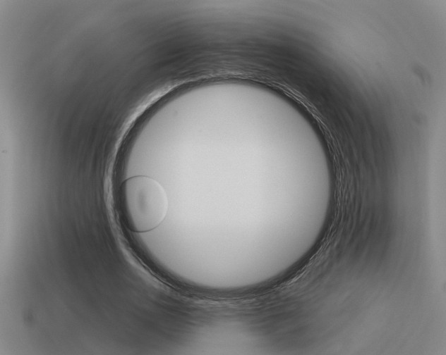 X0000115490726200911061001