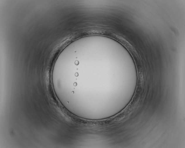 X0000115490729200911061001