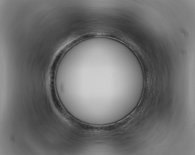 X0000115490730200911061001