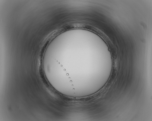 X0000115490733200911061001