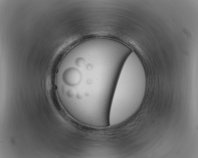 X0000115490734200911061001