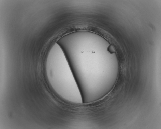 X0000115490735200911061001