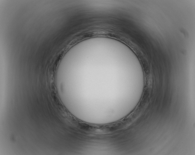 X0000115490737200911061001